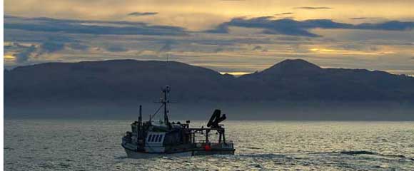 Inshore trawler in New Zealand waters